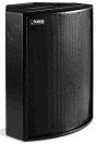C-112 Fullrange Speaker